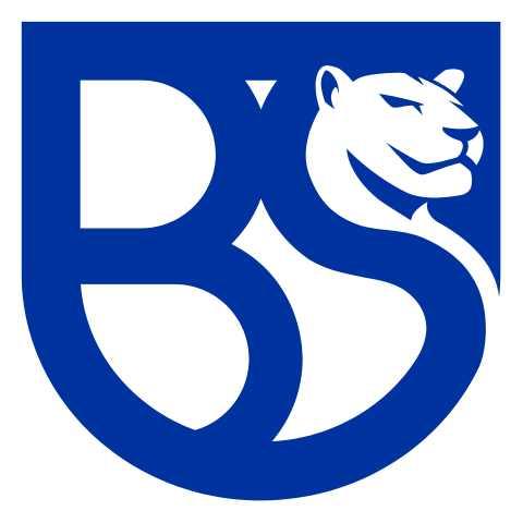 UnionBrescia