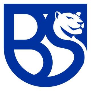 UnionBrescia